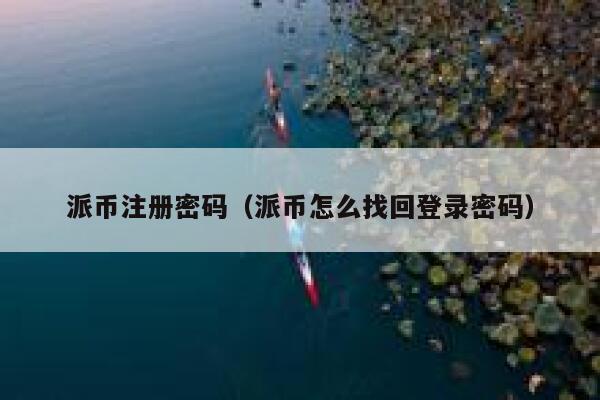 派币注册密码（派币怎么找回登录密码） 第1张