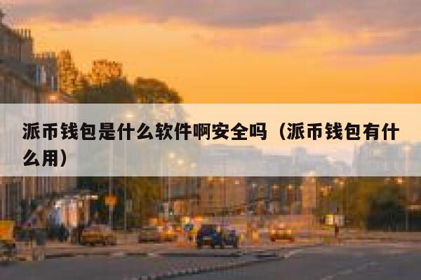 派币钱包是什么软件啊安全吗（派币钱包有什么用） 第1张