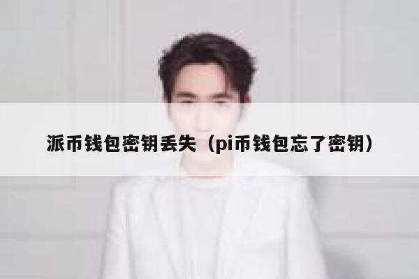 派币钱包密钥丢失（pi币钱包忘了密钥） 第1张