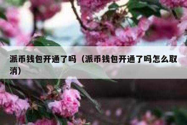 派币钱包开通了吗（派币钱包开通了吗怎么取消） 第1张