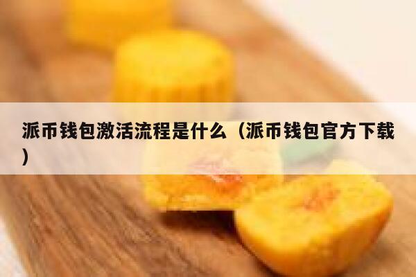 派币钱包激活流程是什么（派币钱包官方下载） 第1张