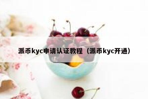派币kyc申请认证教程（派币kyc开通） 第1张