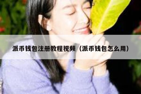 派币钱包注册教程视频（派币钱包怎么用） 第1张