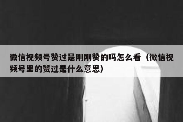 微信视频号赞过是刚刚赞的吗怎么看(微信视频号里的赞过是什么意思) 第1张 微信视频号赞过是刚刚赞的吗怎么看(微信视频号里的赞过是什么意思) 第1张