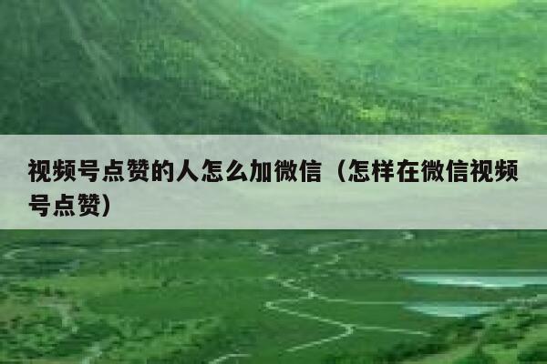 视频号点赞的人怎么加微信(怎样在微信视频号点赞) 第1张 视频号点赞的人怎么加微信(怎样在微信视频号点赞) 第1张