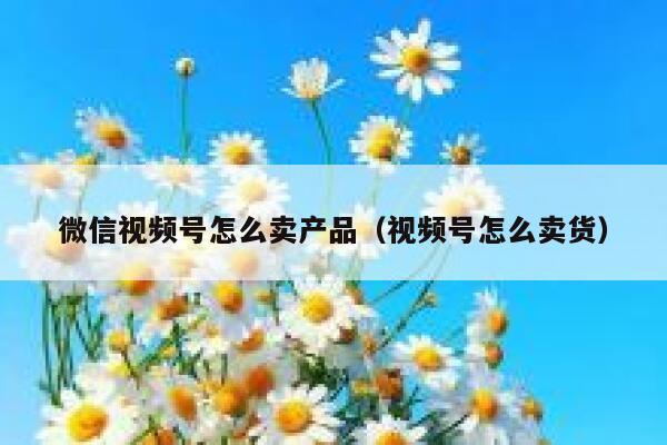 微信视频号怎么卖产品(视频号怎么卖货) 第1张 微信视频号怎么卖产品(视频号怎么卖货) 第1张