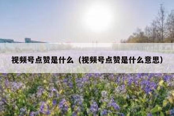 视频号点赞是什么(视频号点赞是什么意思) 第1张 视频号点赞是什么(视频号点赞是什么意思) 第1张