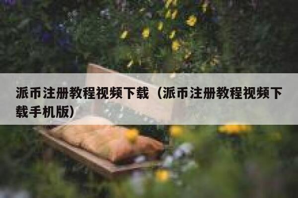 派币注册教程视频下载(派币注册教程视频下载手机版) 第1张 派币注册教程视频下载(派币注册教程视频下载手机版) 第1张