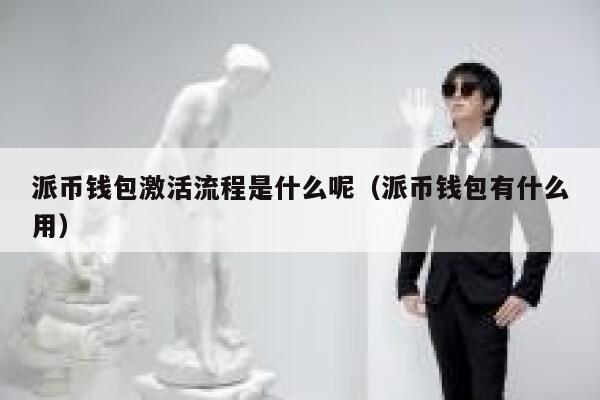 派币钱包激活流程是什么呢(派币钱包有什么用) 第1张 派币钱包激活流程是什么呢(派币钱包有什么用) 第1张