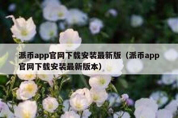 派币app官网下载安装最新版（派币app官网下载安装最新版本） 第1张