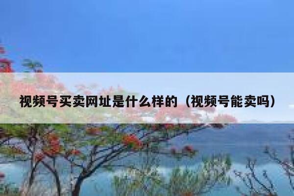 视频号买卖网址是什么样的(视频号能卖吗) 第1张 视频号买卖网址是什么样的(视频号能卖吗) 第1张