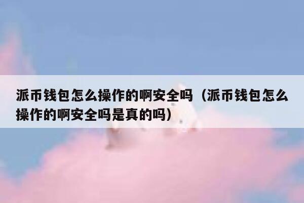 派币钱包怎么操作的啊安全吗（派币钱包怎么操作的啊安全吗是真的吗） 第1张