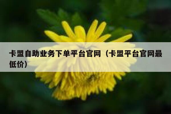 卡盟自助业务下单平台官网（卡盟平台官网最低价） 第1张