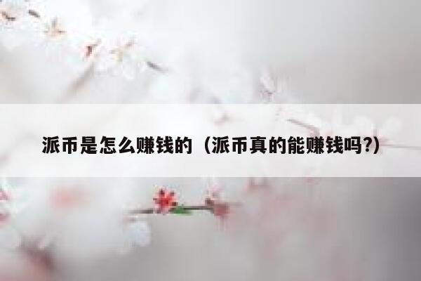 派币是怎么赚钱的（派币真的能赚钱吗?） 第1张