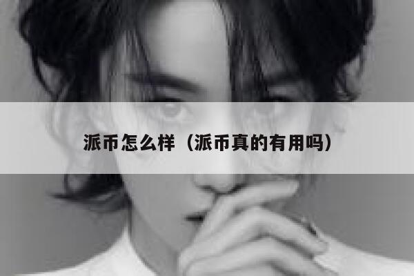 派币怎么样(派币真的有用吗) 第1张 派币怎么样(派币真的有用吗) 第1张