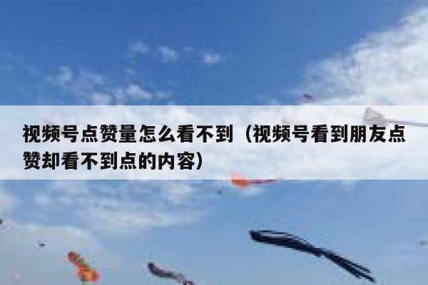 视频号点赞量怎么看不到(视频号看到朋友点赞却看不到点的内容) 第1张 视频号点赞量怎么看不到(视频号看到朋友点赞却看不到点的内容) 第1张