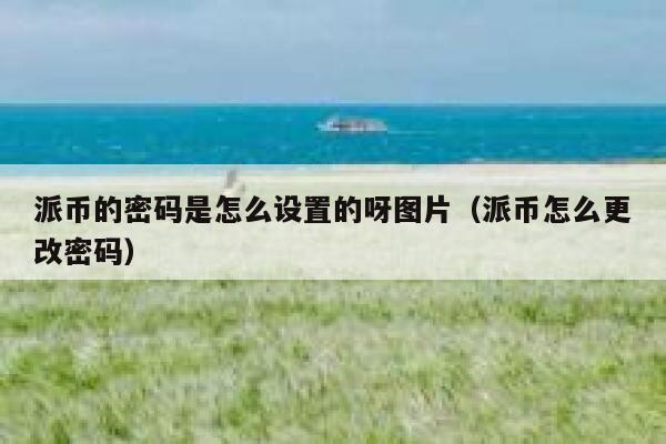 派币的密码是怎么设置的呀图片（派币怎么更改密码） 第1张