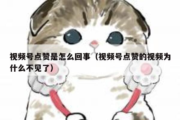 视频号点赞是怎么回事（视频号点赞的视频为什么不见了） 第1张