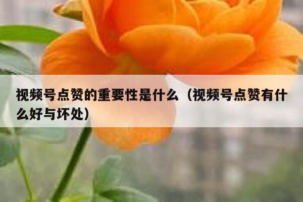 视频号点赞的重要性是什么(视频号点赞有什么好与坏处) 第1张 视频号点赞的重要性是什么(视频号点赞有什么好与坏处) 第1张
