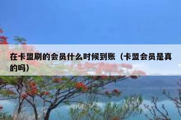 在卡盟刷的会员什么时候到账(卡盟会员是真的吗) 第1张 在卡盟刷的会员什么时候到账(卡盟会员是真的吗) 第1张