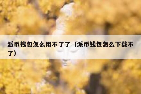 派币钱包怎么用不了了(派币钱包怎么下载不了) 第1张 派币钱包怎么用不了了(派币钱包怎么下载不了) 第1张