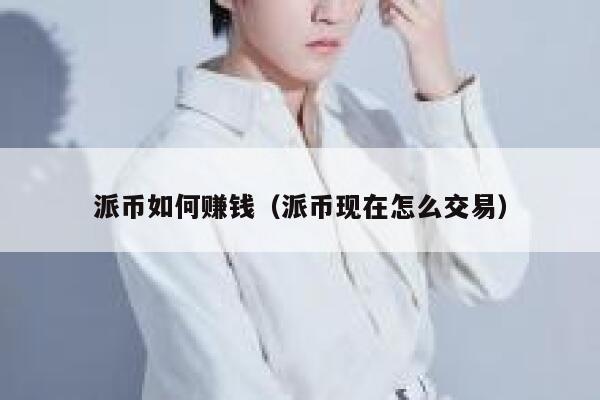 派币如何赚钱(派币现在怎么交易) 第1张 派币如何赚钱(派币现在怎么交易) 第1张