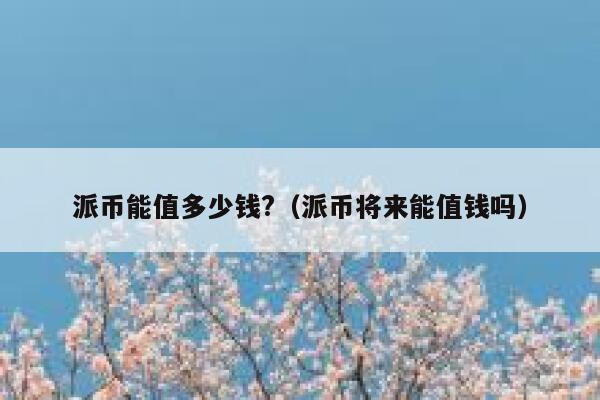派币能值多少钱?(派币将来能值钱吗) 第1张 派币能值多少钱?(派币将来能值钱吗) 第1张