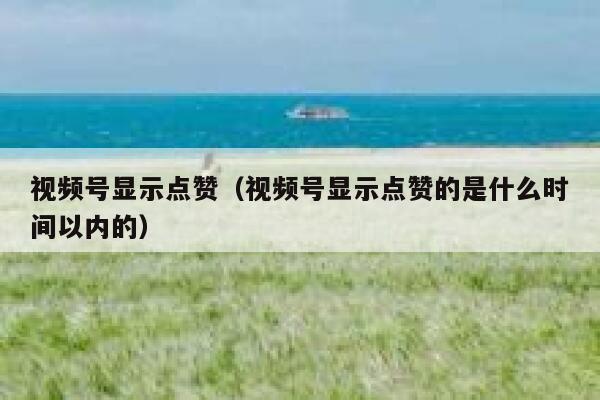 视频号显示点赞(视频号显示点赞的是什么时间以内的) 第1张 视频号显示点赞(视频号显示点赞的是什么时间以内的) 第1张