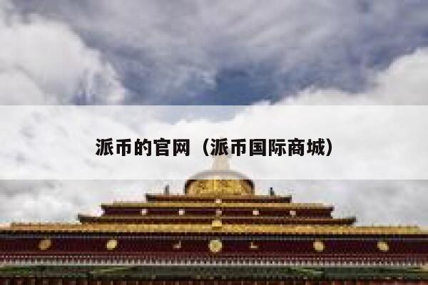 派币的官网（派币国际商城） 第1张