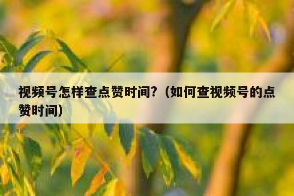 视频号怎样查点赞时间?(如何查视频号的点赞时间) 第1张 视频号怎样查点赞时间?(如何查视频号的点赞时间) 第1张