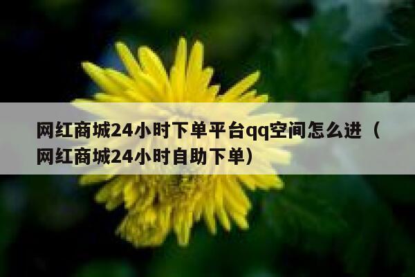网红商城24小时下单平台qq空间怎么进(网红商城24小时自助下单) 第1张 网红商城24小时下单平台qq空间怎么进(网红商城24小时自助下单) 第1张
