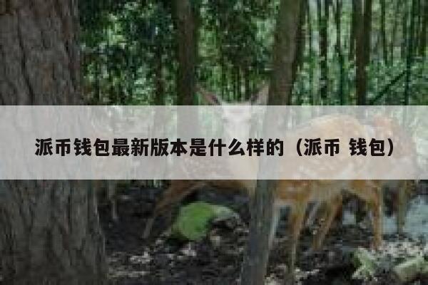 派币钱包最新版本是什么样的(派币 钱包) 第1张 派币钱包最新版本是什么样的(派币 钱包) 第1张