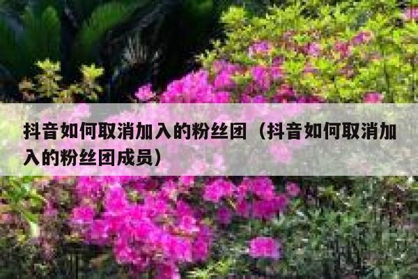 抖音如何取消加入的粉丝团(抖音如何取消加入的粉丝团成员) 第1张 抖音如何取消加入的粉丝团(抖音如何取消加入的粉丝团成员) 第1张