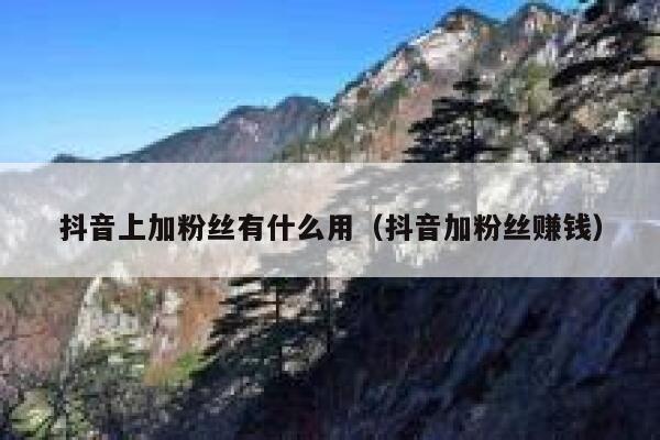 抖音上加粉丝有什么用(抖音加粉丝赚钱) 第1张 抖音上加粉丝有什么用(抖音加粉丝赚钱) 第1张