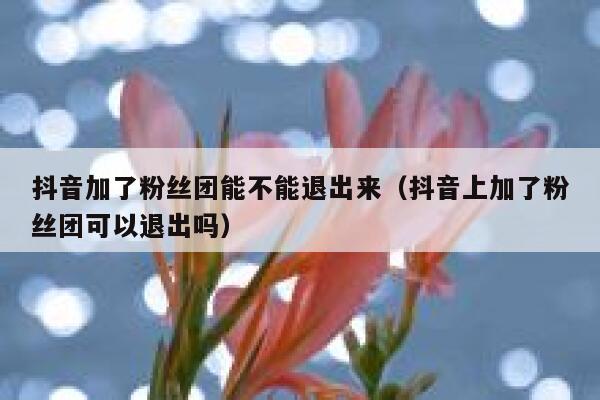 抖音加了粉丝团能不能退出来(抖音上加了粉丝团可以退出吗) 第1张 抖音加了粉丝团能不能退出来(抖音上加了粉丝团可以退出吗) 第1张