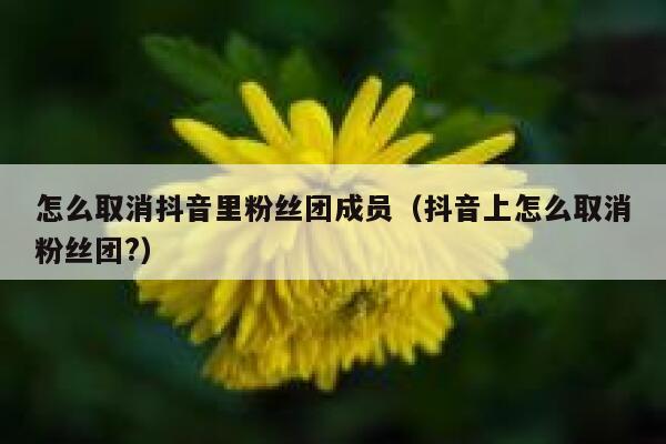 怎么取消抖音里粉丝团成员(抖音上怎么取消粉丝团?) 第1张 怎么取消抖音里粉丝团成员(抖音上怎么取消粉丝团?) 第1张
