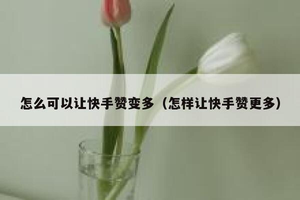 怎么可以让快手赞变多(怎样让快手赞更多) 第1张 怎么可以让快手赞变多(怎样让快手赞更多) 第1张