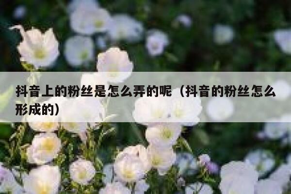抖音上的粉丝是怎么弄的呢(抖音的粉丝怎么形成的) 第1张 抖音上的粉丝是怎么弄的呢(抖音的粉丝怎么形成的) 第1张