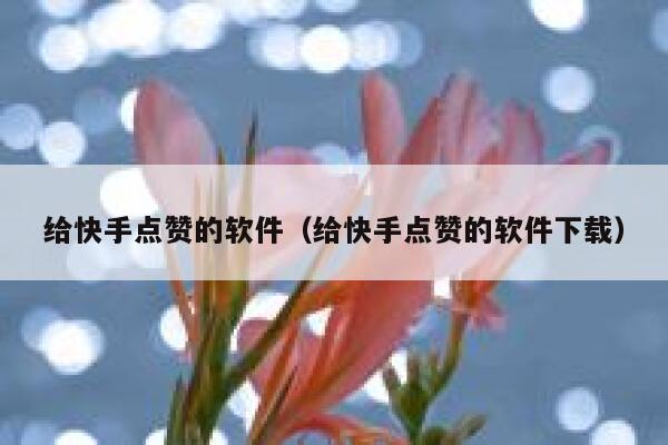 给快手点赞的软件(给快手点赞的软件下载) 第1张 给快手点赞的软件(给快手点赞的软件下载) 第1张