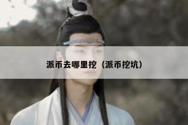 派币去哪里挖(派币挖坑) 第1张 派币去哪里挖(派币挖坑) 第1张