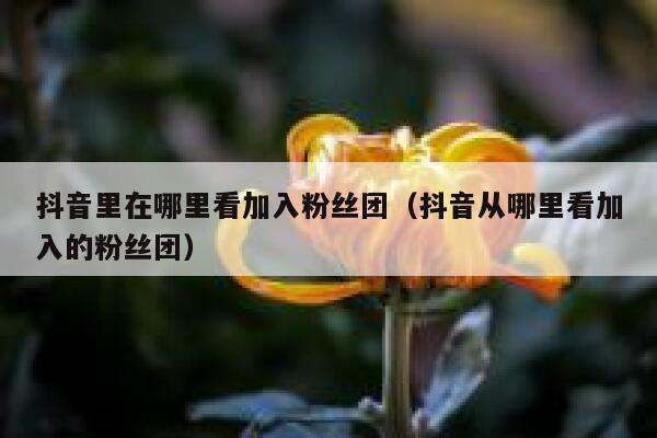 抖音里在哪里看加入粉丝团（抖音从哪里看加入的粉丝团） 第1张