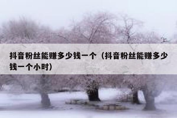 抖音粉丝能赚多少钱一个(抖音粉丝能赚多少钱一个小时) 第1张 抖音粉丝能赚多少钱一个(抖音粉丝能赚多少钱一个小时) 第1张