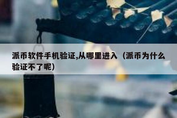 派币软件手机验证,从哪里进入（派币为什么验证不了呢） 第1张