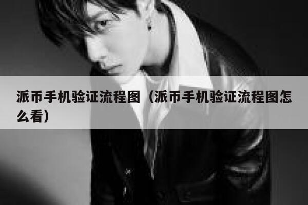 派币手机验证流程图（派币手机验证流程图怎么看） 第1张