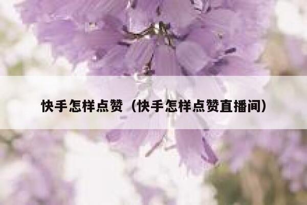 快手怎样点赞（快手怎样点赞直播间） 第1张