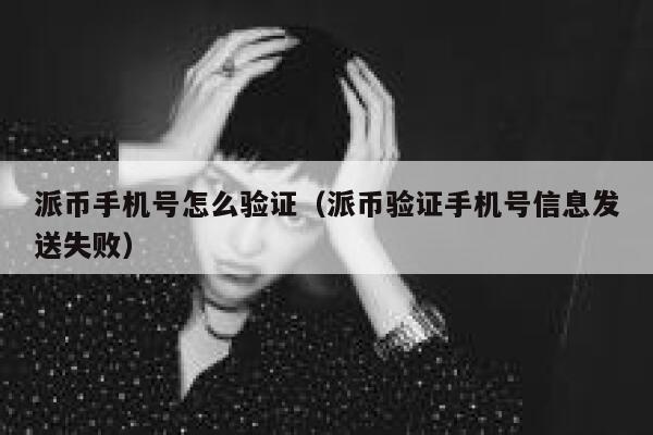派币手机号怎么验证（派币验证手机号信息发送失败） 第1张