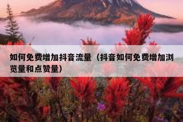 如何免费增加抖音流量（抖音如何免费增加浏览量和点赞量） 第1张