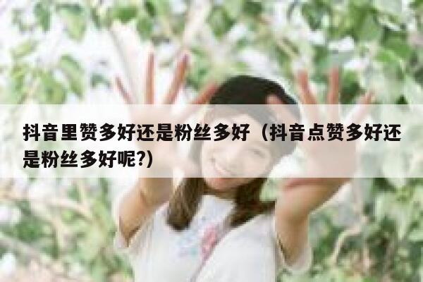 抖音里赞多好还是粉丝多好（抖音点赞多好还是粉丝多好呢?） 第1张