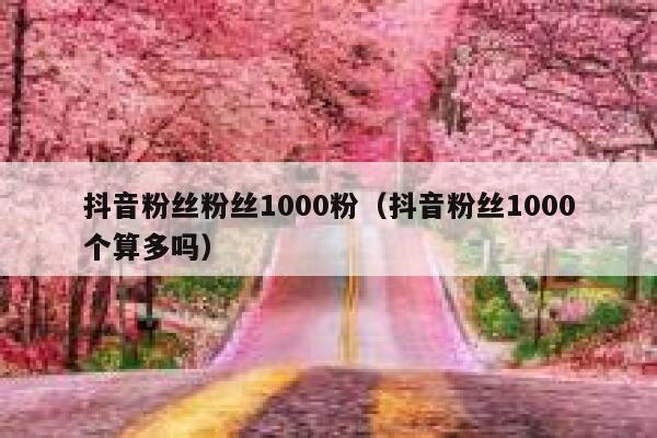 抖音粉丝粉丝1000粉（抖音粉丝1000个算多吗） 第1张