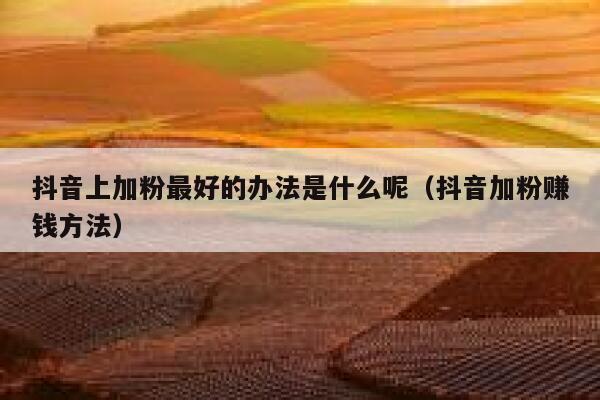 抖音上加粉最好的办法是什么呢（抖音加粉赚钱方法） 第1张